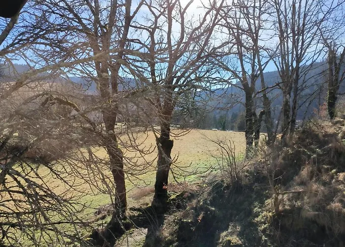 - Etoile Des Neiges - Refait A Neuf - 2 Wifi - Randonnee La Roche Des Fees Апартаменты