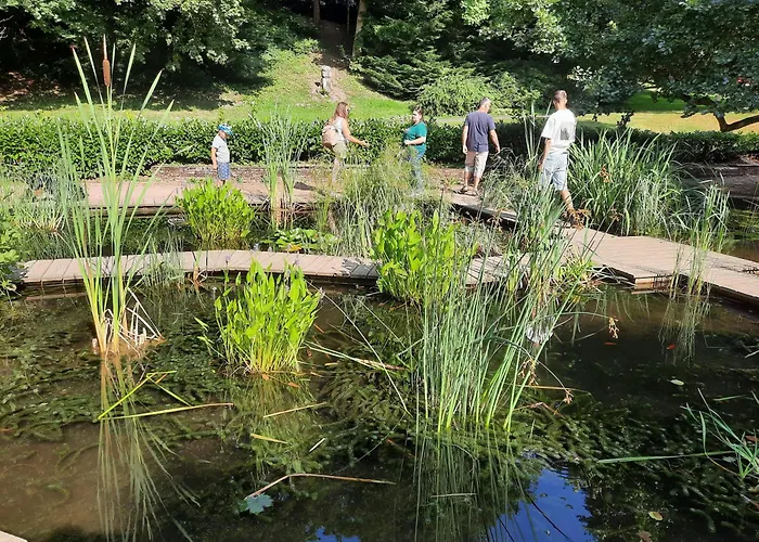 - étoile Des Neiges - Refait à Neuf - 2 Wifi - Randonnée La Roche Des Fées Appartement La Bourboule